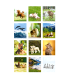 ANIMALES