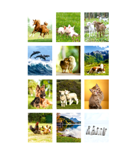 ANIMALES